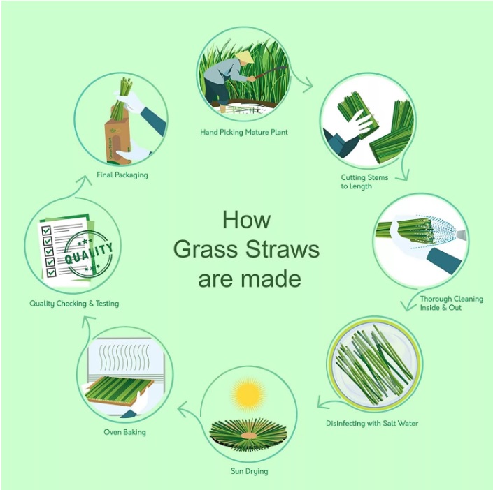 Grass Straws
