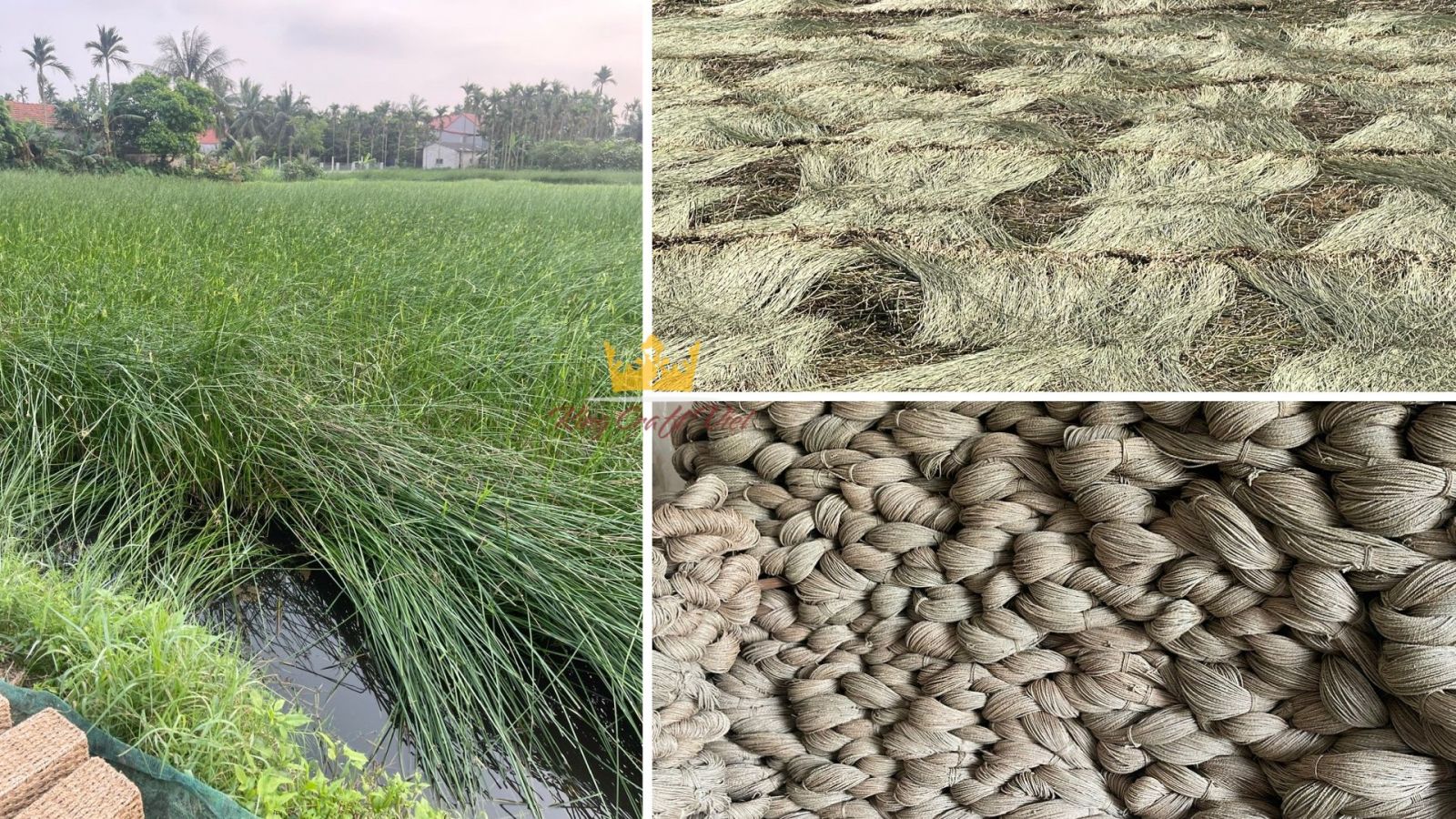 Shortage of natural fibers impacting handicraft production