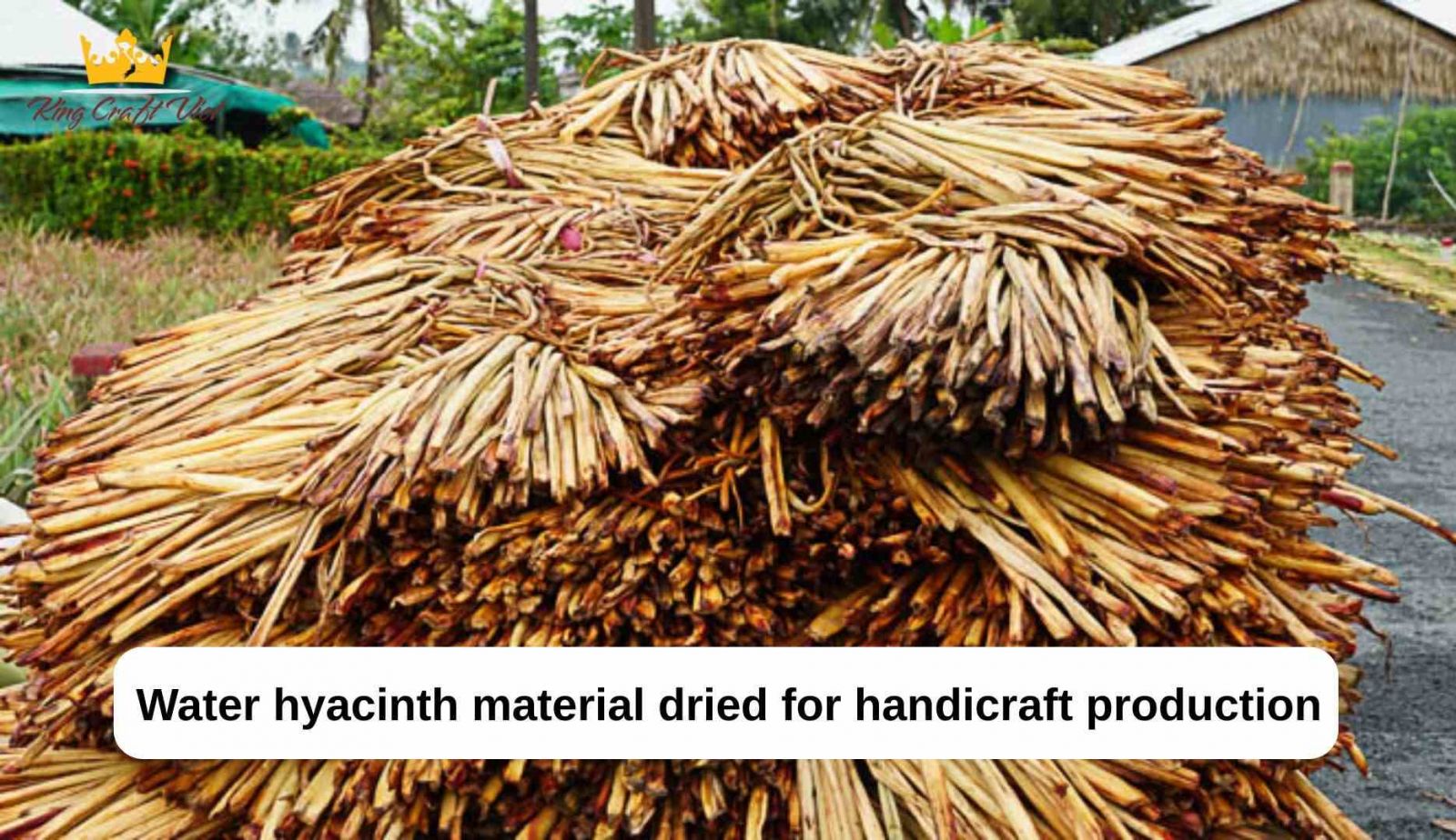 Water hyacinth material dried for handicraft production